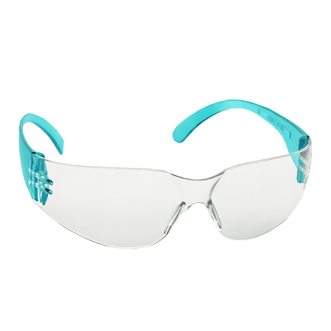 Clear Lens Safety Goggle Venus E 102